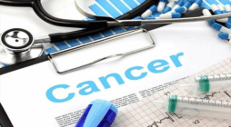 Neoadjuvant vs. Adjuvant Therapy in GI Cancers: Current Evidence and Best Practices